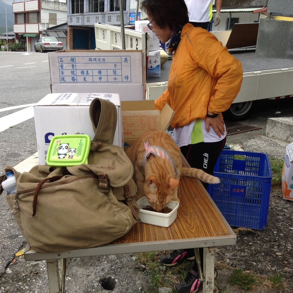 f:id:shinajikun:20210909144705j:plain