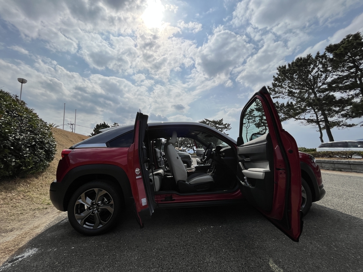 f:id:shinamomonga:20220314120912j:plain