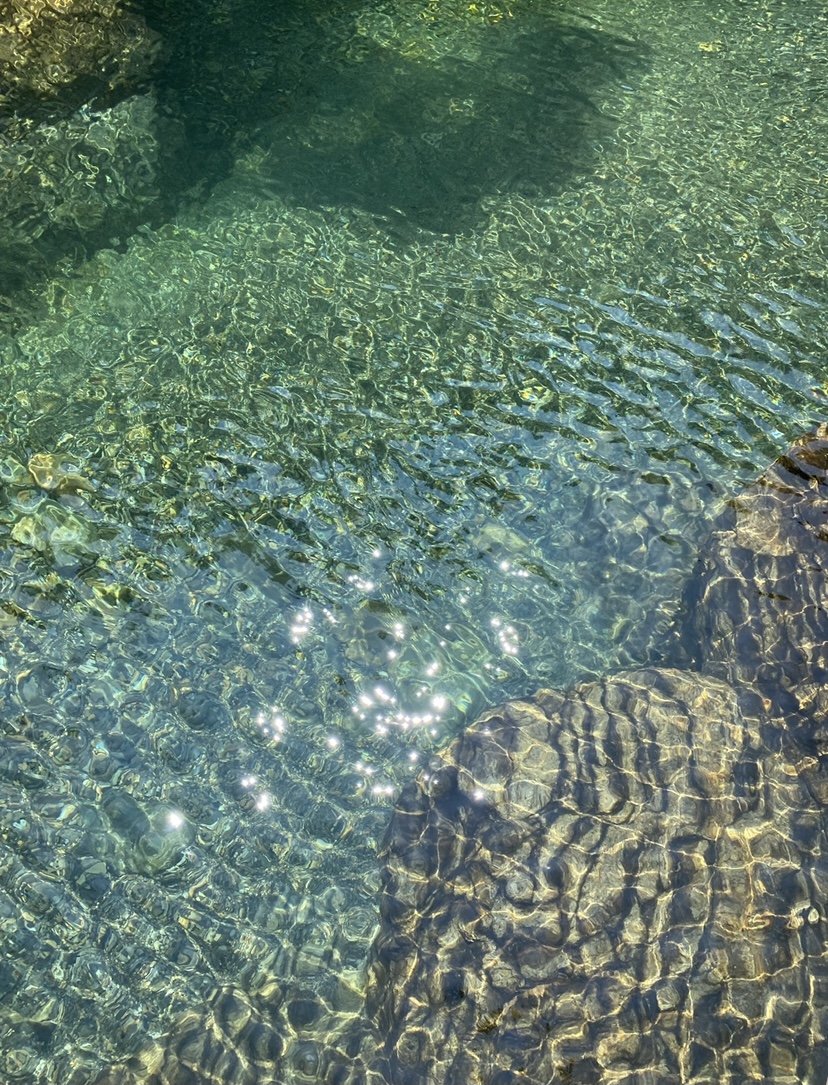 f:id:shinamon3250:20211003231104j:plain