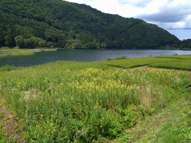 f:id:shinano-express:20240920085455j:image