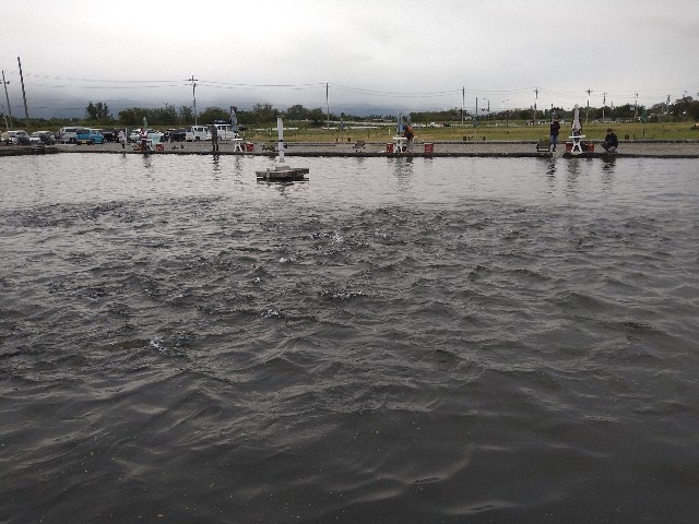 f:id:shinano-express:20241007184554j:image