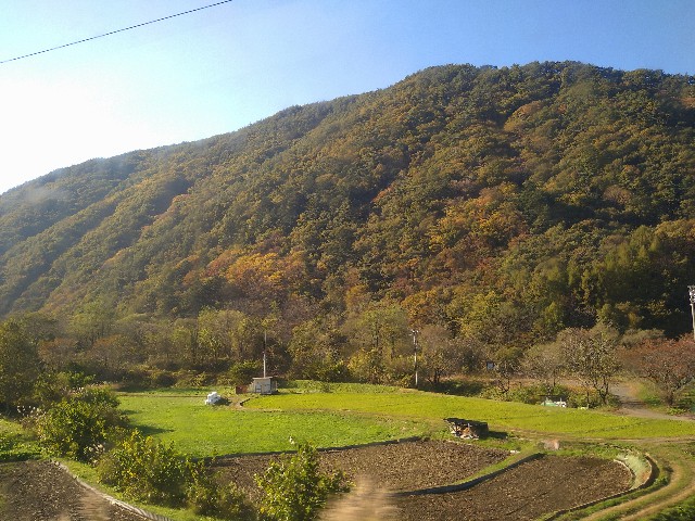 f:id:shinano-express:20241104165015j:image