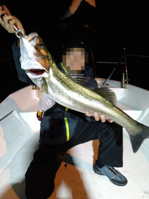 f:id:shinano-express:20241104175333j:image