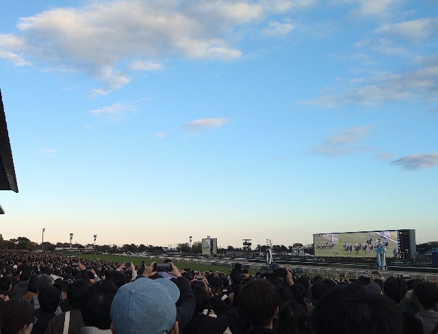 f:id:shinano-express:20241130174230j:image