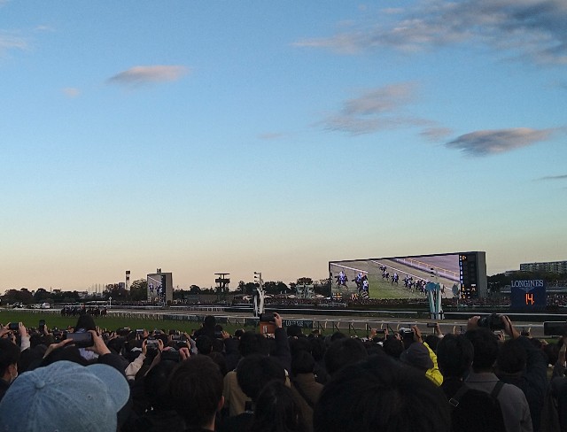 f:id:shinano-express:20241130175411j:image
