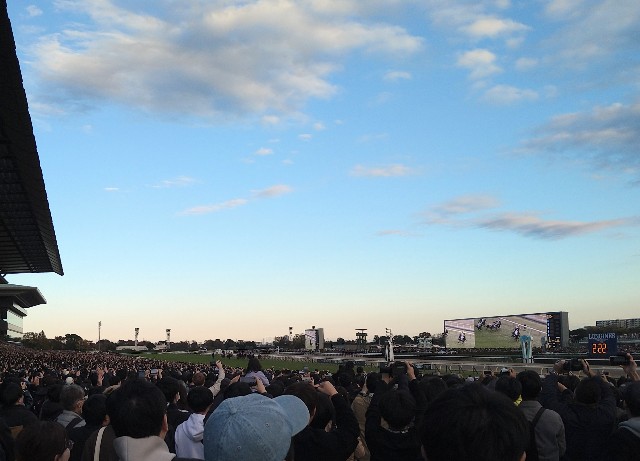 f:id:shinano-express:20241201191455j:image