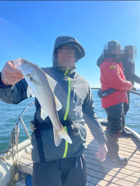 f:id:shinano-express:20241202114751j:image