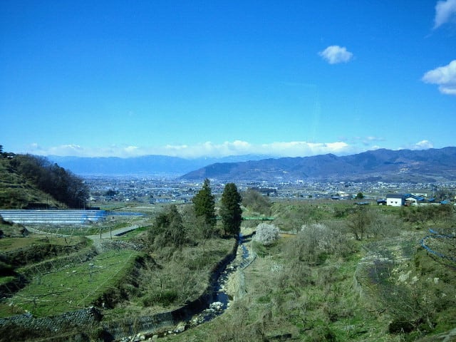 2020032010100000.jpg