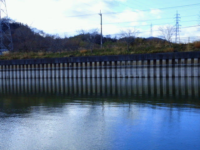2020010110320000.jpg