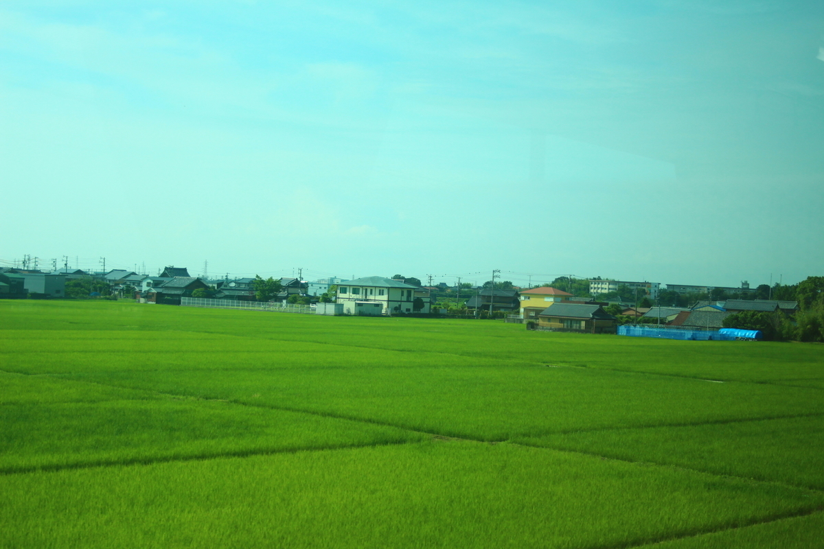 f:id:shinano381:20200623182906j:plain f:id:shinano381:20200623182906j:plain