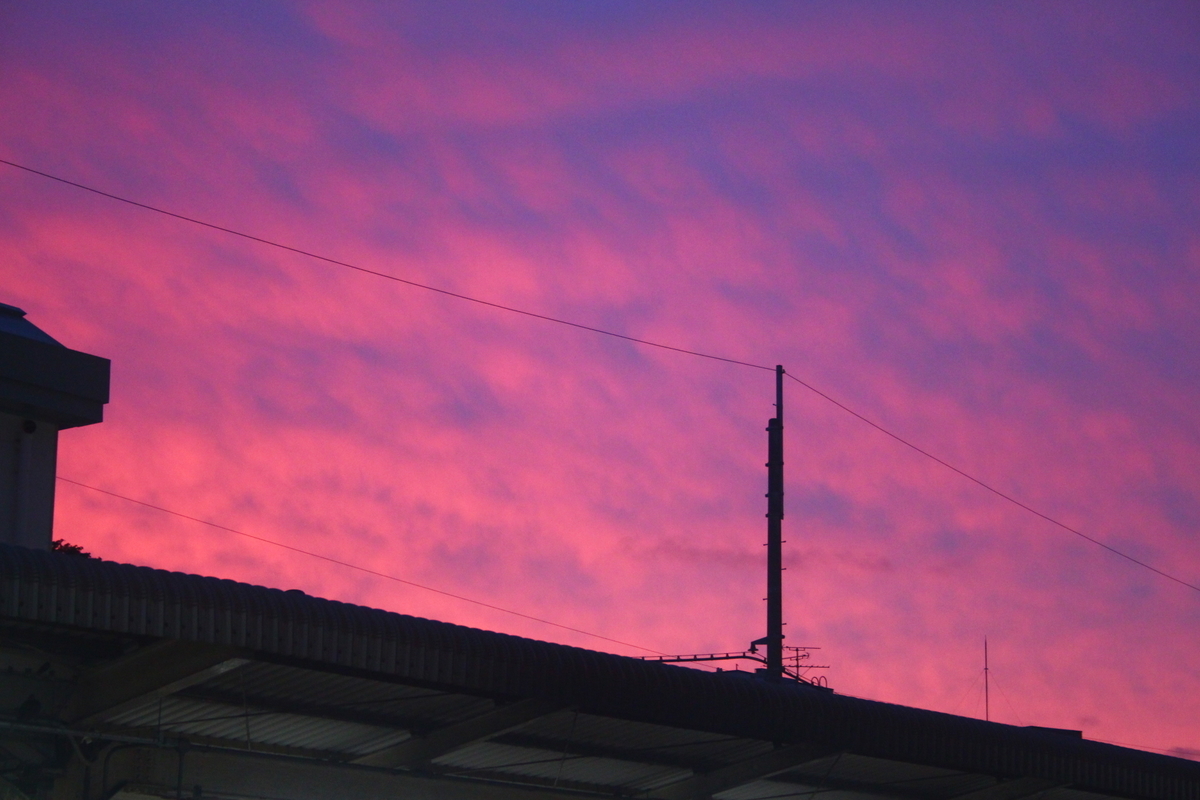 f:id:shinano381:20200624004236j:plain f:id:shinano381:20200624004236j:plain