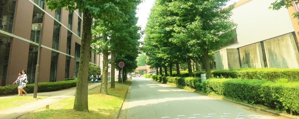 f:id:shinayuki:20190228001306j:plain