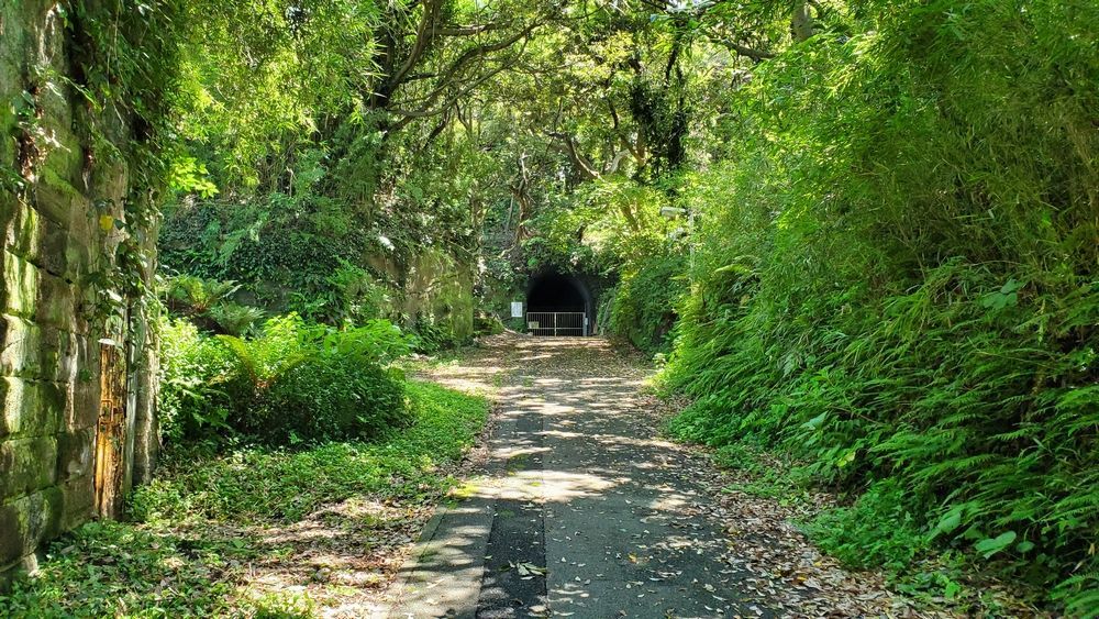 観音崎公園内の自然が多い場所