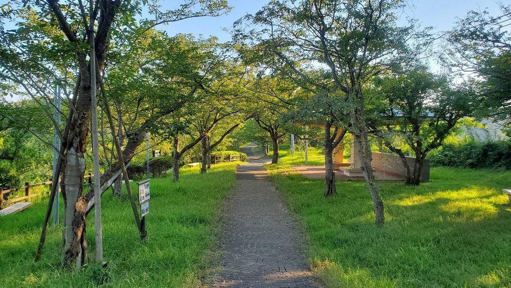 塚山公園・港の見える丘付近