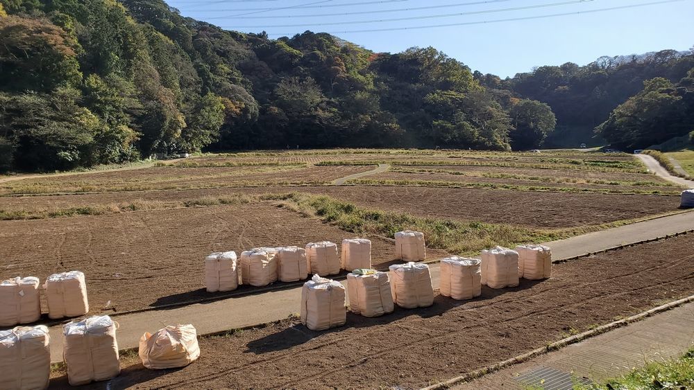 くりはま花の国