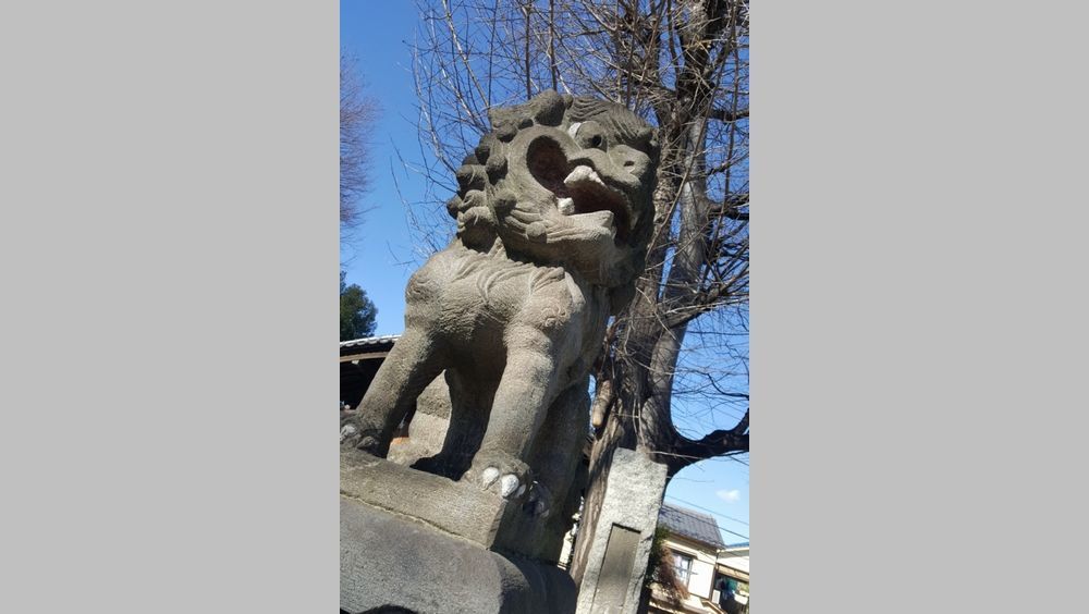 瀧野川八幡神社 狛犬