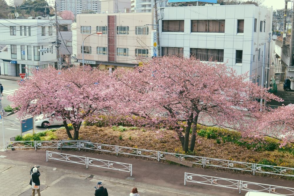 京急線・三浦海岸駅