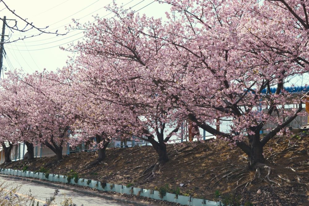 京急線・三崎口駅