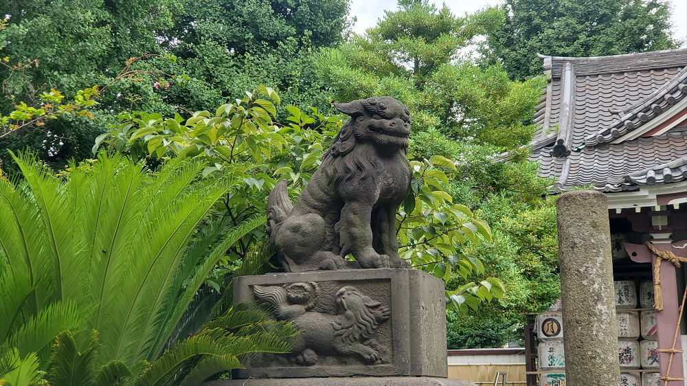 若宮八幡宮の狛犬