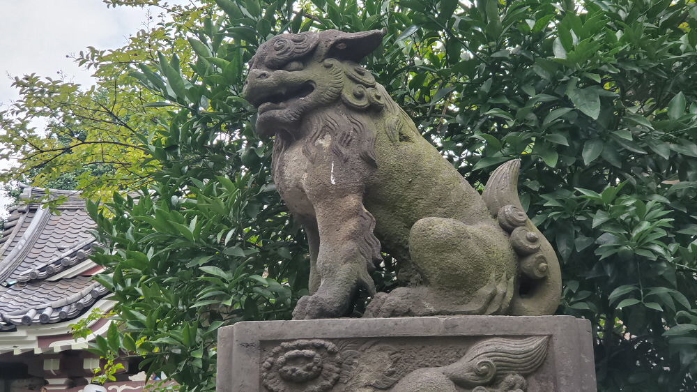 若宮八幡宮の狛犬