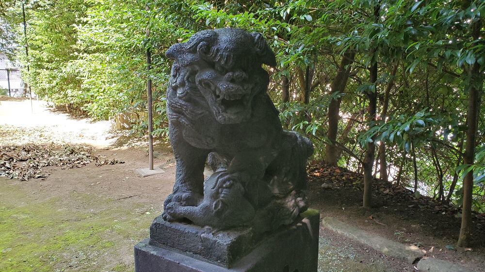 富岡八幡宮 狛犬