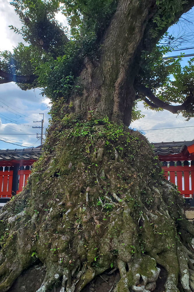 大将軍神社