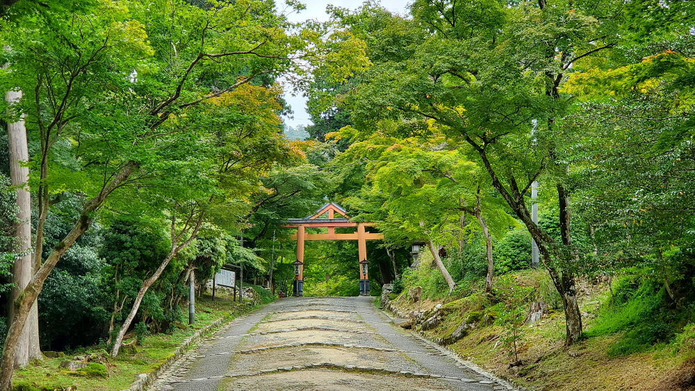 日吉大社 山王鳥居