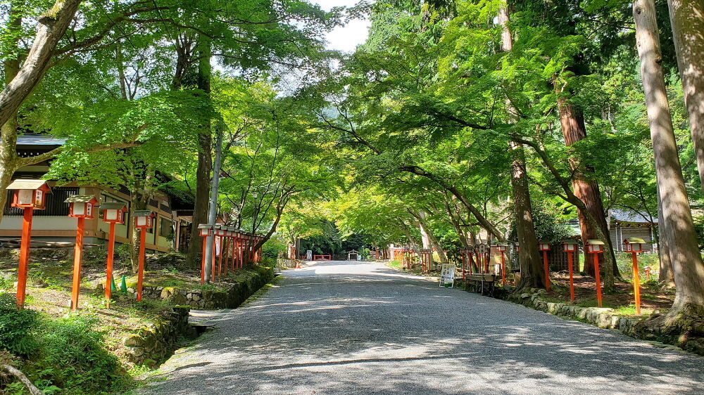 日吉大社 参道