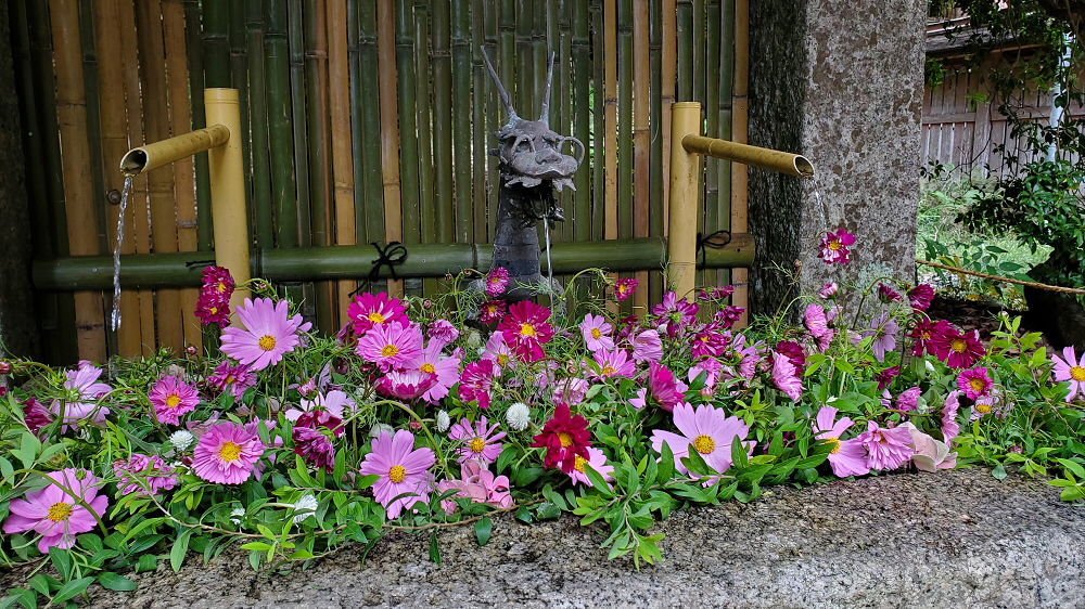 日吉大社 秋の花手水