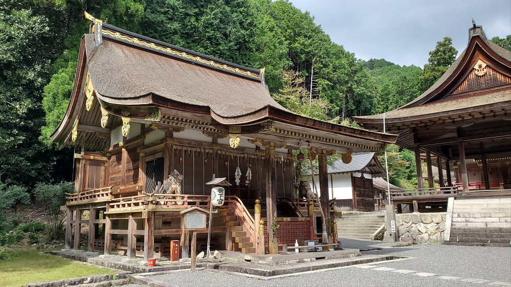 日吉大社 樹下宮本殿