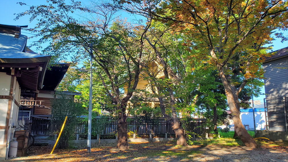 諏訪神社 本殿