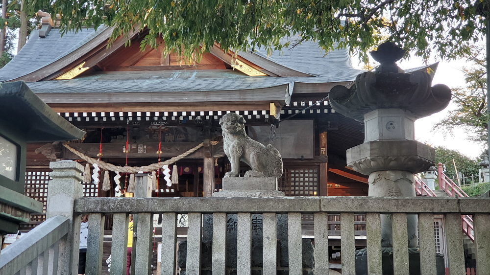 櫻山神社 狛犬