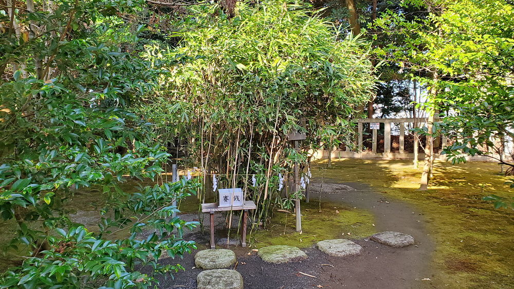 吉田神社 縁結びの笹