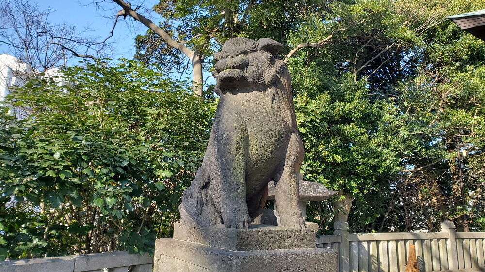 白旗神社 狛犬