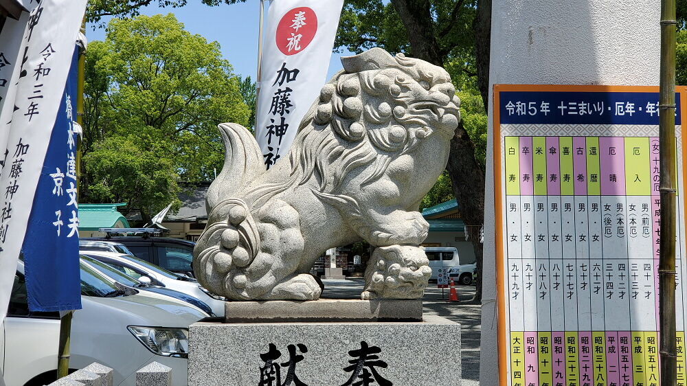 加藤神社 狛犬