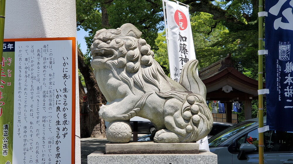 加藤神社 狛犬