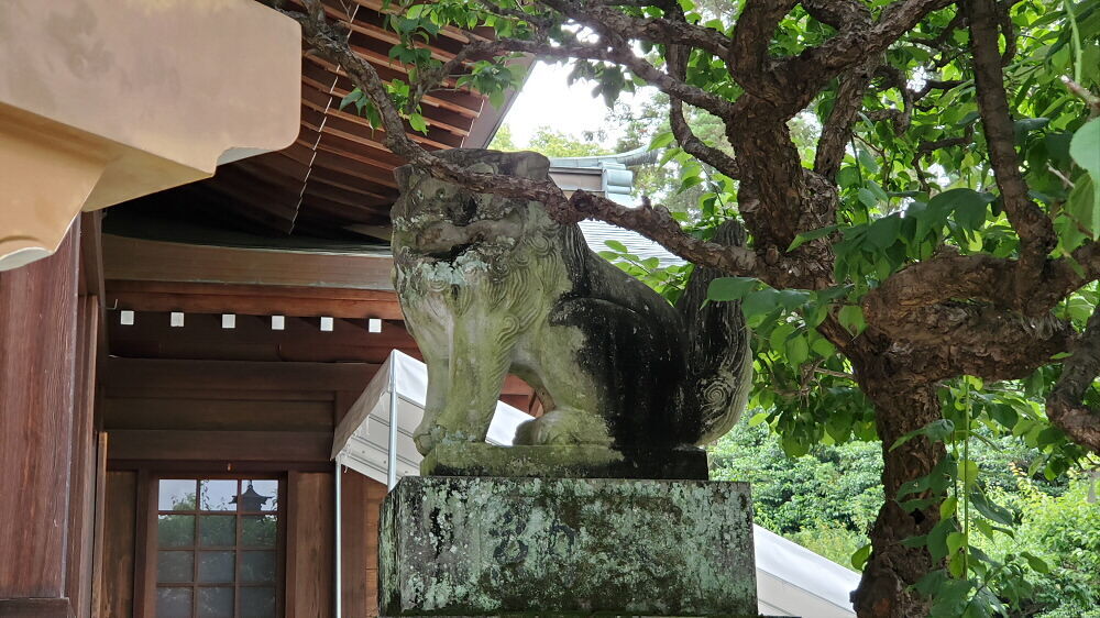 健軍神社 狛犬