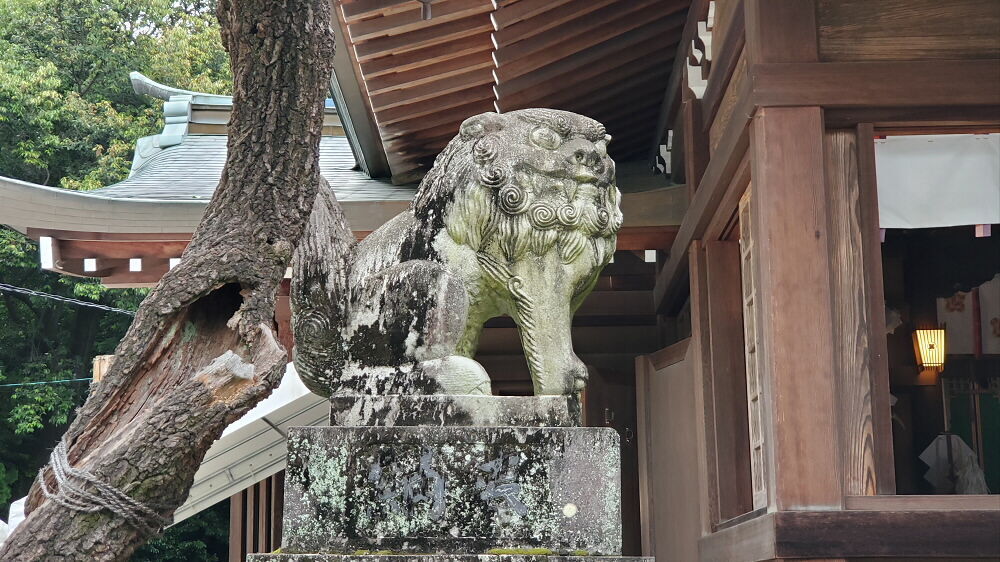 健軍神社 狛犬