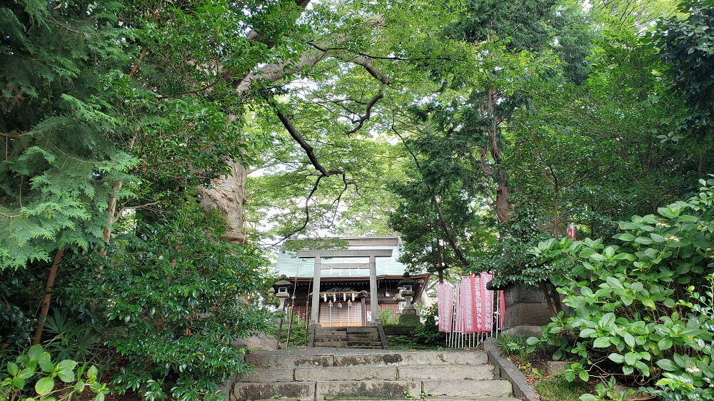 愛宕神社 石段と鳥居