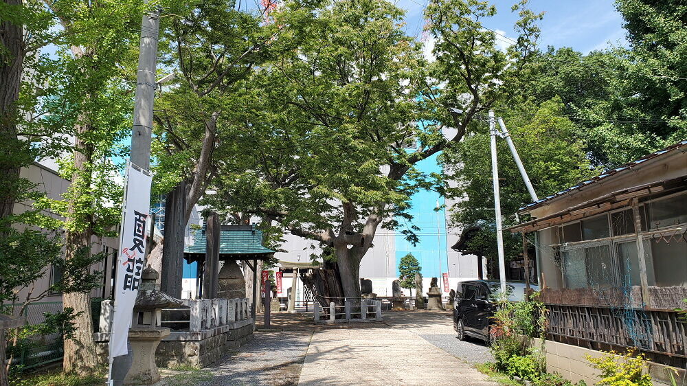 阿邪訶根神社 参道と御神木