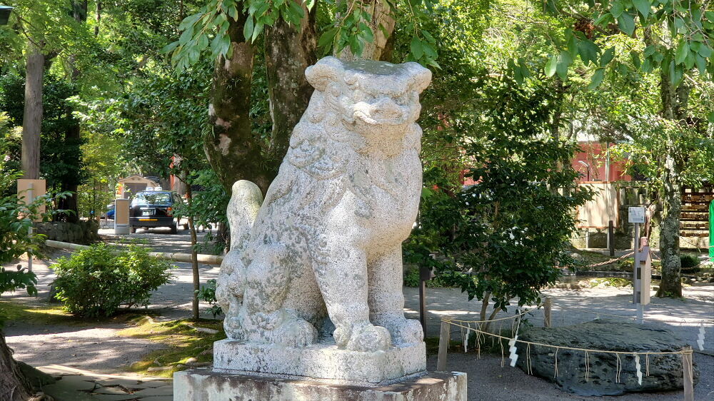 伊豆山神社 狛犬