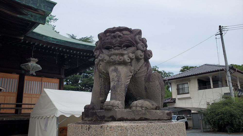 子鍬倉神社 狛犬