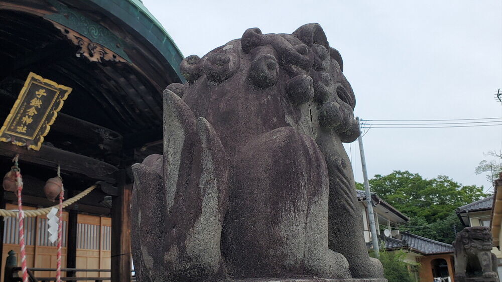 子鍬倉神社 狛犬の後ろ姿