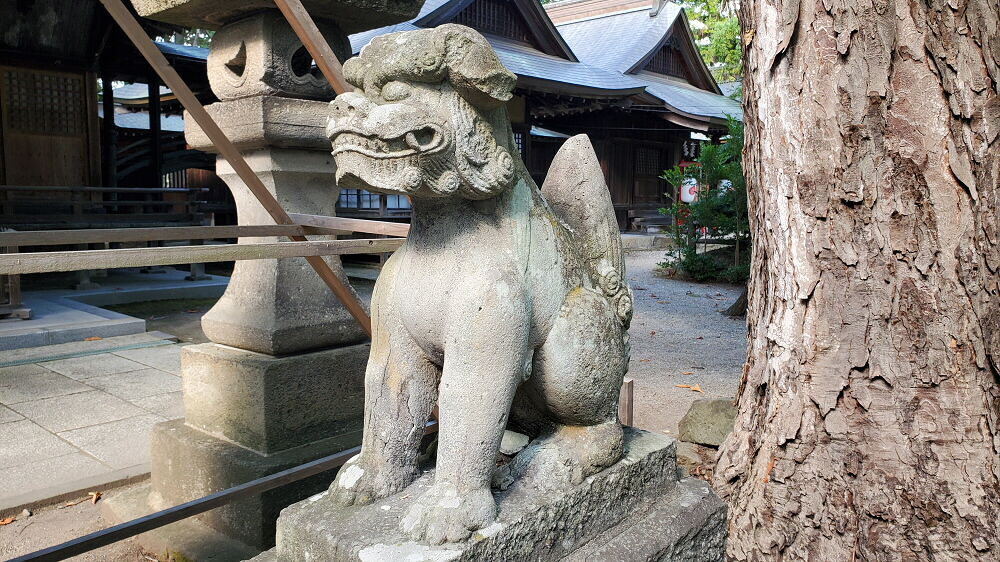 蚕養国神社 狛犬