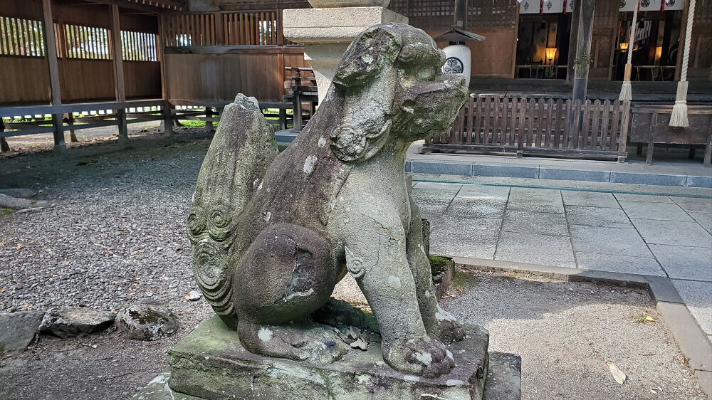 蚕養国神社 狛犬