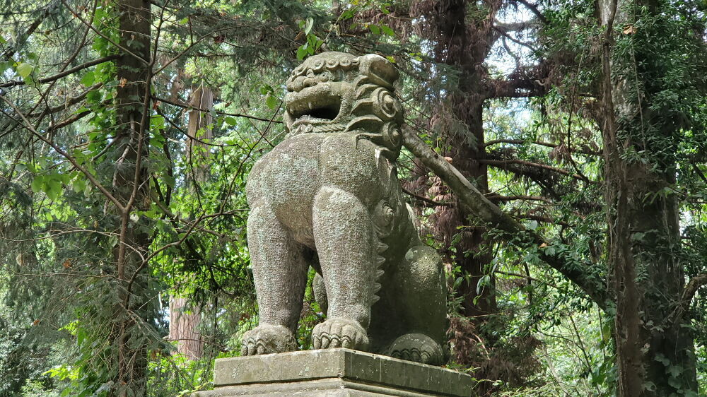 伊佐須美神社 狛犬