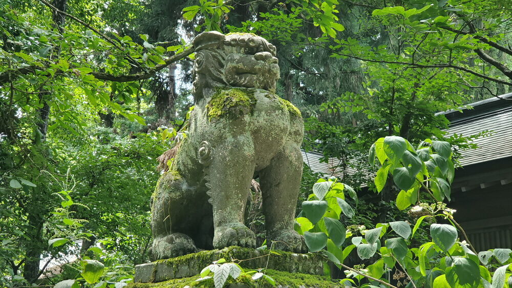 伊佐須美神社 狛犬