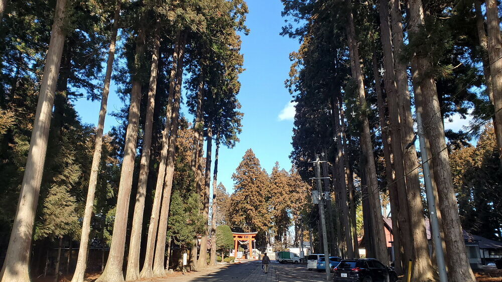 櫛引八幡宮 参道
