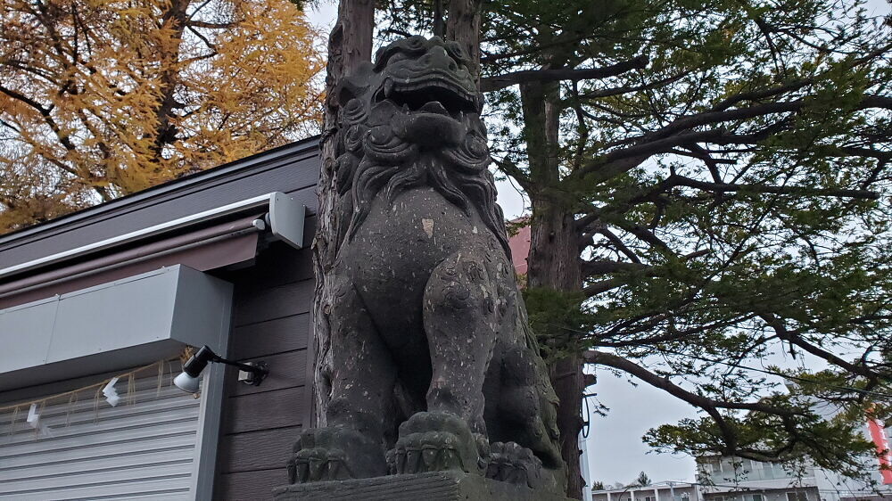手稲神社 狛犬