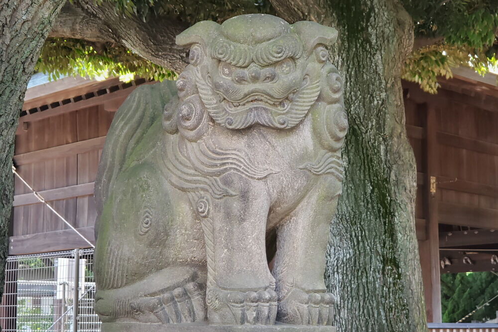 旗岡八幡神社 狛犬